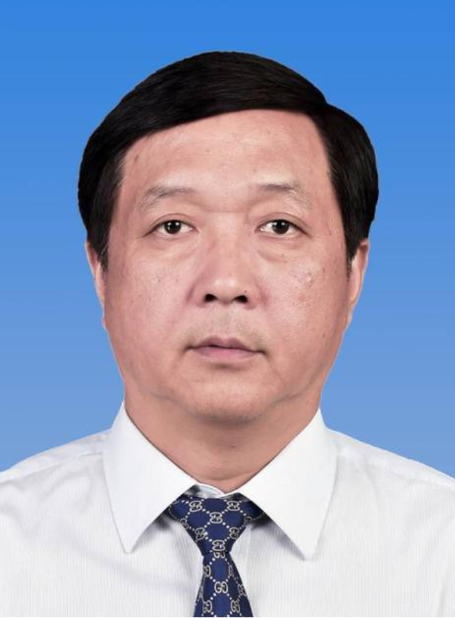 杨  伟